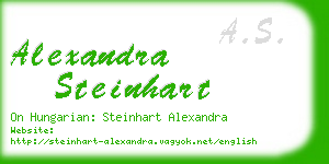 alexandra steinhart business card